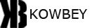 Kowbey | 1er du rap malien | Site de rap et de musique malienne en ligne