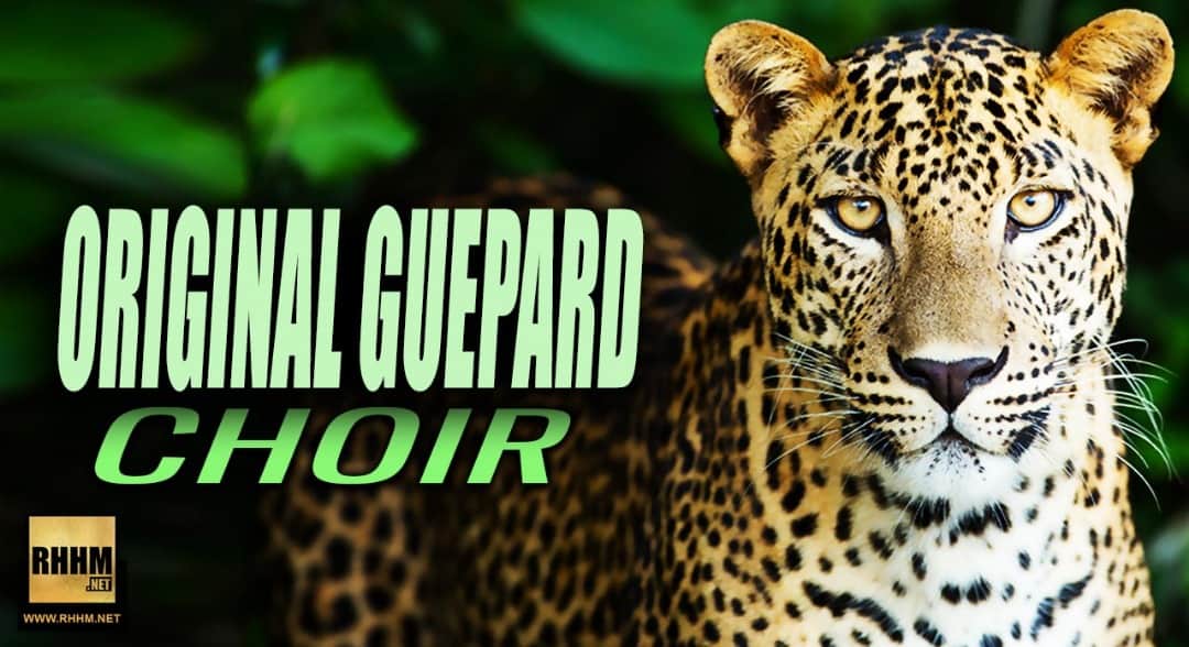 ORIGINAL GUEPARD - CHOIR (2019)