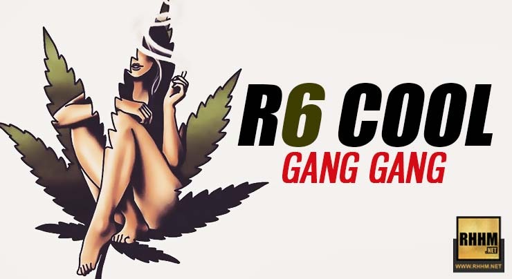 R6 COOL - GANG GANG (2019)