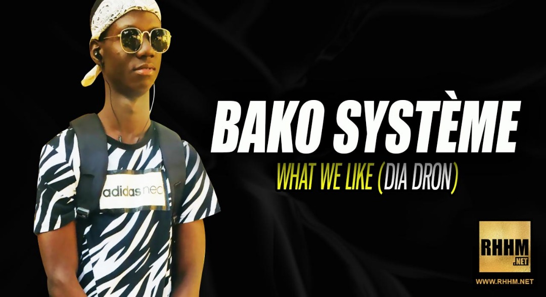 BAKO SYSTÈME - WHAT WE LIKE (DIA DRON) (2019)