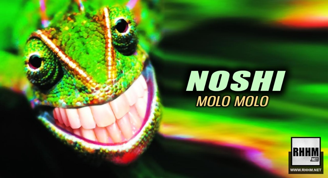 NOSHI - MOLO MOLO (2019)