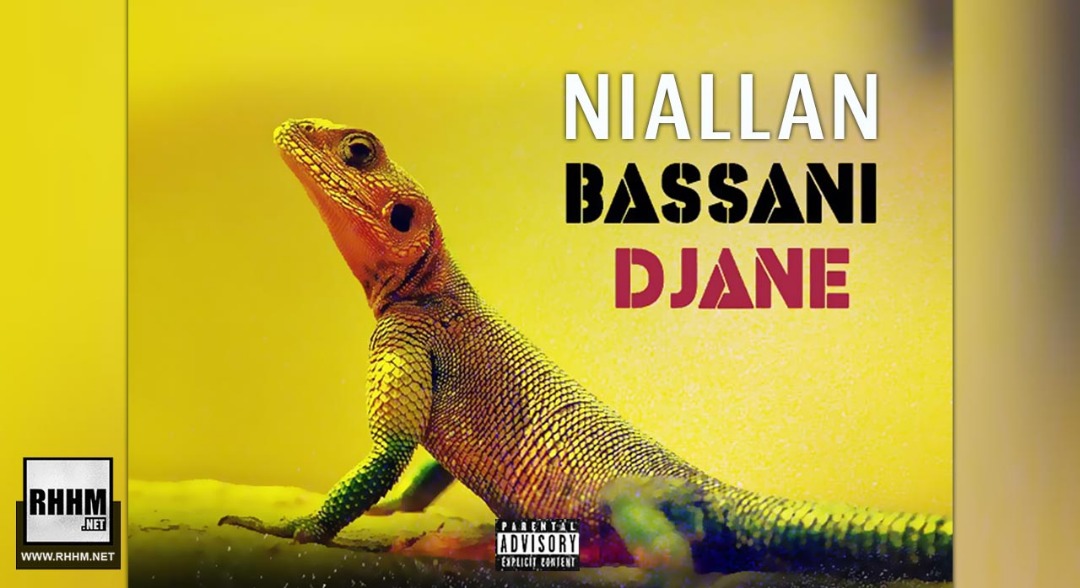 NIALLAN - BASSANI DJANE (2019)