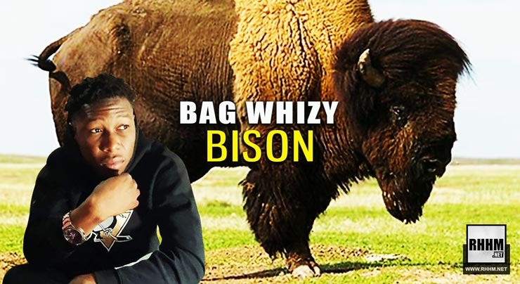 BAG WHIZY - BISON (2020)
