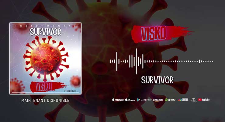 VISKO ON THE BEATZ - SURVIVOR (Instrumentale 2020)