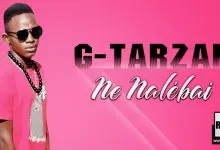 G-TARZAN - NE NALÉBAI (2020)