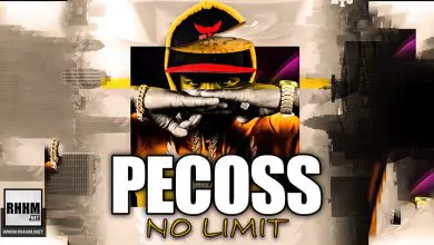 PECOSS - NO LIMIT (2021)