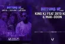 King KJ Feat. 2Bto King & Mak-Ddon - Bottoms Up (remix) (Officiel 2021)