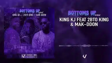 King KJ Feat. 2Bto King & Mak-Ddon - Bottoms Up (remix) (Officiel 2021)