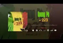 Young Po 223 Remix Son